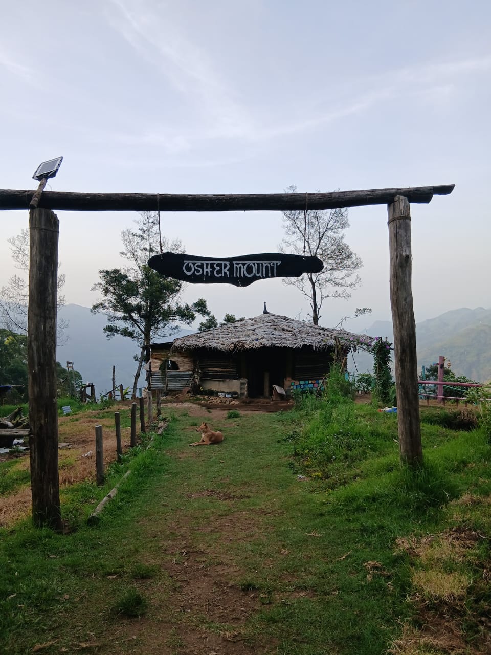 Osher Mount